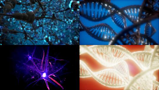 【合集】3d细胞神经元基因螺旋微观运动特写