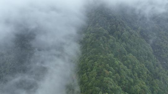 烟雨云雾缥缈的大山