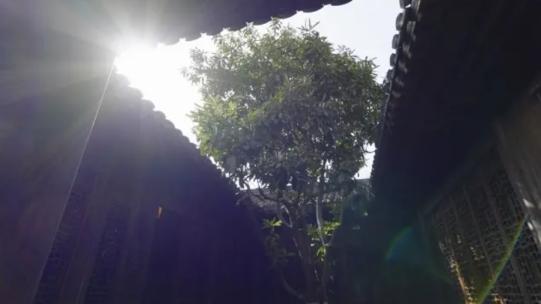 中式园林、古宅、中式建筑、光影、古建筑