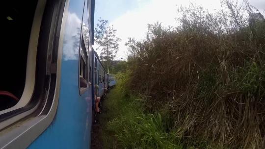 斯里兰卡网红小火车行驶在艾拉茶园视频素材模板下载