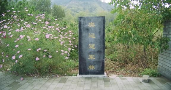 雁门关奥运冠军林4K