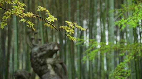 杭州云栖竹径春季清明节雨天古建筑自然唯美