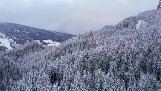 普拉格白云石山脉白雪覆盖的松树林，空中