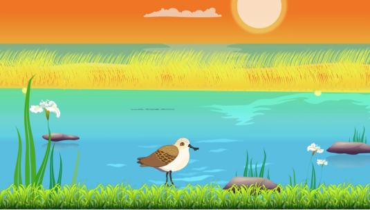 海洋湿地候鸟勺嘴鹬环保生物多样性