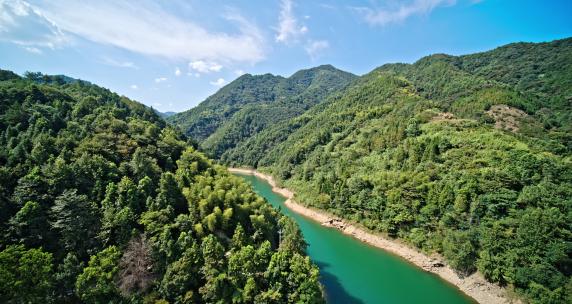 湖北省咸宁市竹海