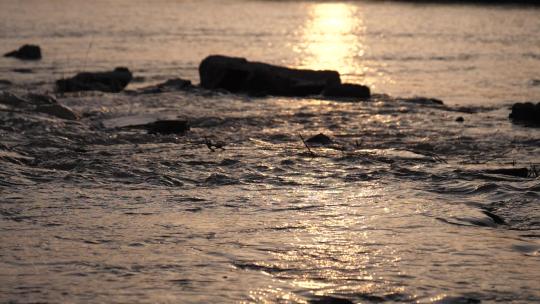 黄河中的夕阳倒影