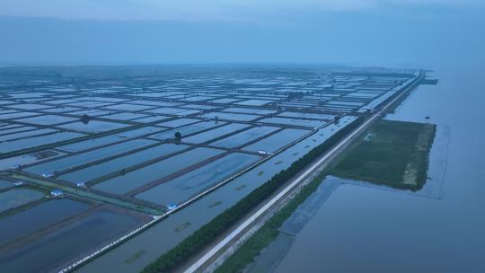 航拍武汉荆州小龙虾养殖基地