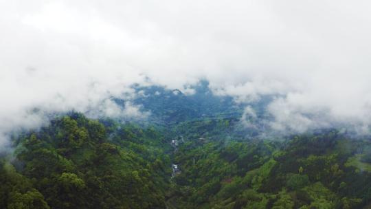 航拍清晨云雾缭绕的山林