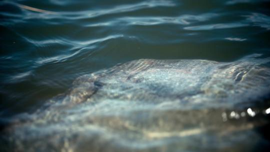 清澈水面湖面波浪打在石头上