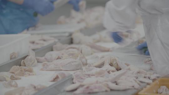 肉鸡加工厂肉禽加工屠宰厂LOG视频素材模板下载