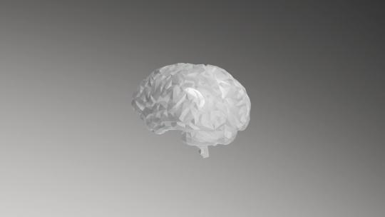 人体大脑脑干三维立体医疗诊疗粒子