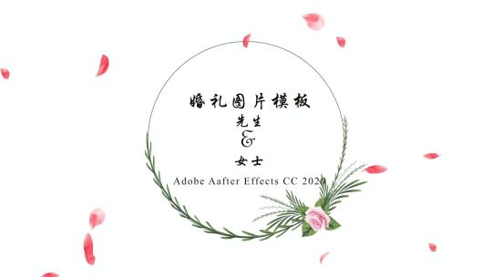 【AE模板】爱情婚礼