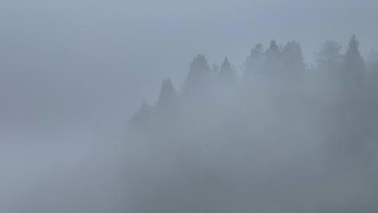 航拍雾气中的山谷森林