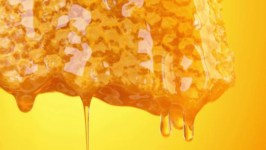 流出的蜂蜜蜂王浆蜂巢蜜洋槐蜜椴树蜜蜂皇浆