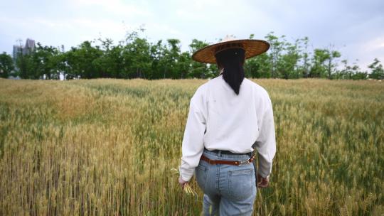 中年女性农民走在小麦田里
