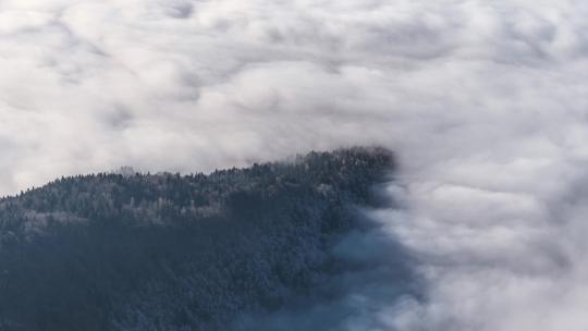 山顶雾气森林云海平流云