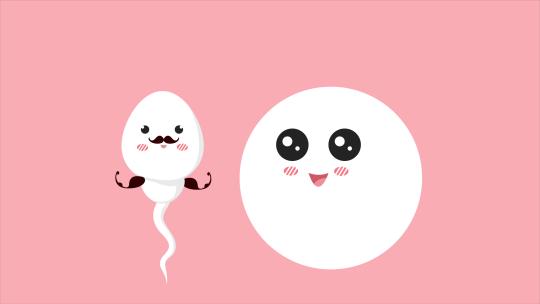 可爱的精子和卵子动画 健康精子概念视频4K