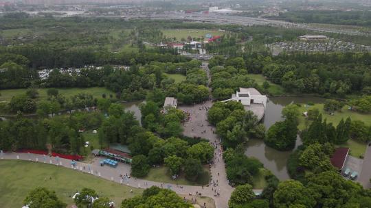 上海滨江森林公园4K原素材视频素材模板下载