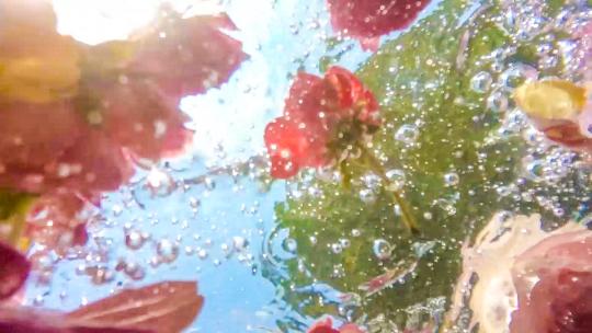 玫瑰花瓣落在水里植物精华香水广告美容护肤