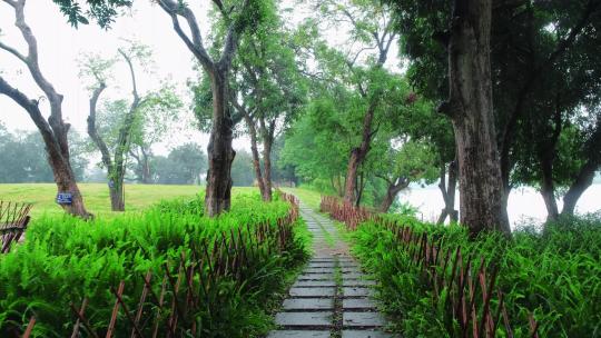 雨中江边小步道