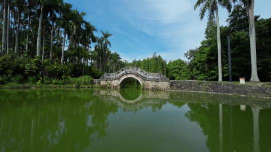 广州华南植物园fpv穿越机航拍4K