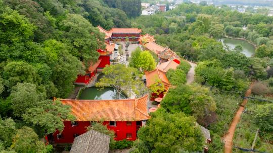 滇源街道南营村地标景点云南丰泽植物园航拍