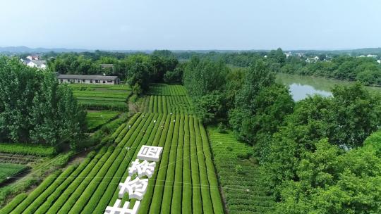 智慧农业茶园合集