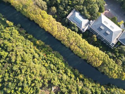 贵阳市花溪区黄金大道4k素材