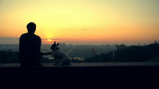 121_一个男人带着他的狗在看地平线上的日落