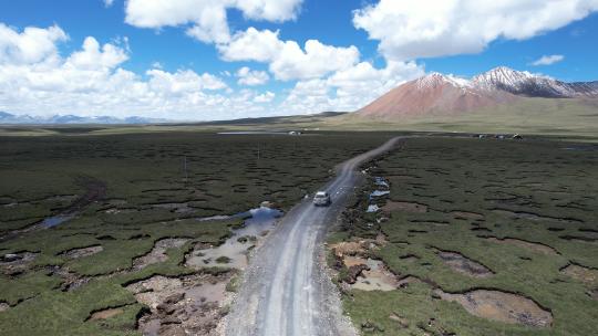 自驾西藏无人机跟拍 湿地牛群雪山草地 原片高清在线视频素材下载