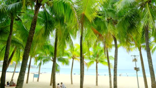 海南三亚 椰树沙滩 海边椰子树 海滩度假