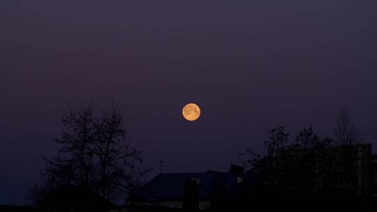 明亮的月光下的满月