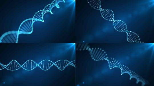DNA螺旋结构特效