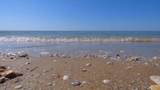 海岸上的贝壳
