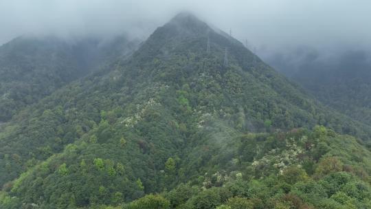 烟雨云雾缥缈的大山