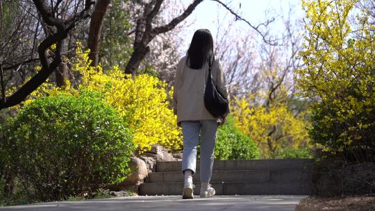 济南千佛山景区，山顶俯瞰城市山花烂漫