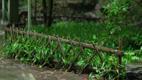 下雨天杭州虎跑泉前的篱笆