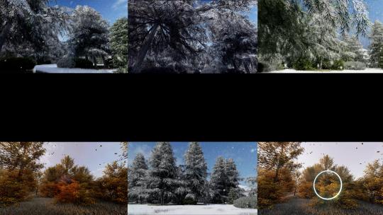 6组意境森林 4K落叶 雪景