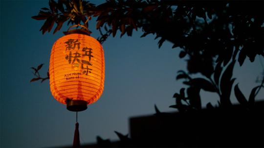 新年龙年烟花灯笼合集