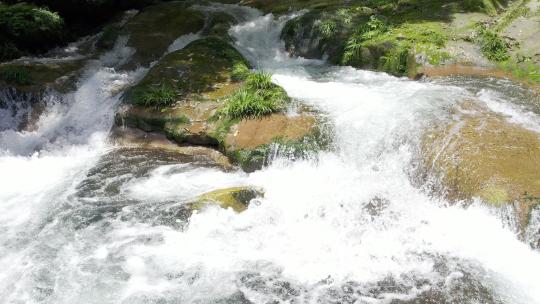 森林溪流-自然生态-山青水秀