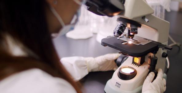 精品 · 实拍实验室科研人员认真操作显微镜