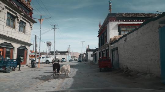 西藏旅游风光喜马拉雅藏族小镇视频素材模板下载
