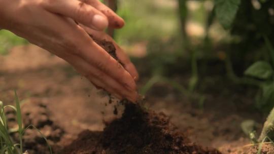 泥土特写土壤有机肥黑土地肥料原生态视频素材模板下载