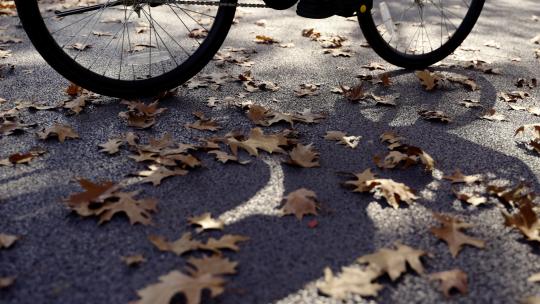 自行车车轮压过地上落叶秋天