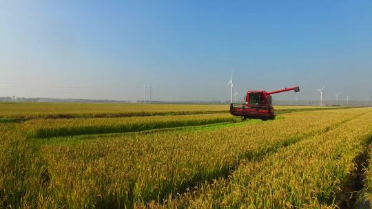 航拍大型收割机收割水稻