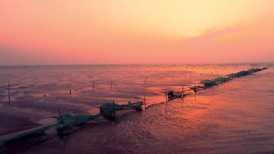航拍黄海岸边渔民在朝霞下捕鱼