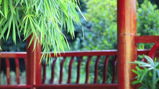 意境竹林竹影，中式古典园林