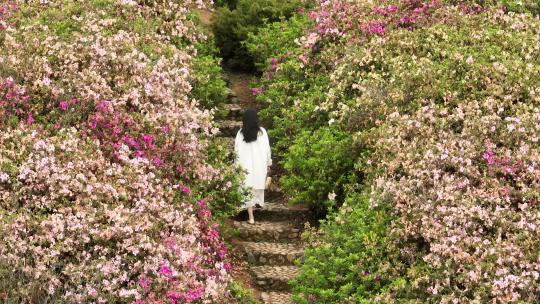 美少女人在杜鹃花海中行走散步踏春天公园里