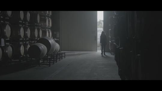 葡萄酒窖参观酿造人文品酒视频