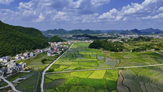 4k 航拍农业农田振兴乡村